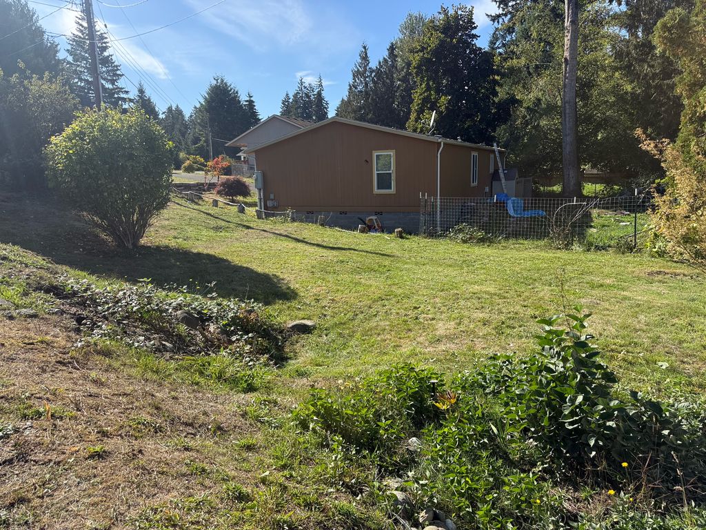 Freshly mowed back yard with a trimmed round shrub beside a tan house after a property freshen-up by Black Rabbit Landscaping